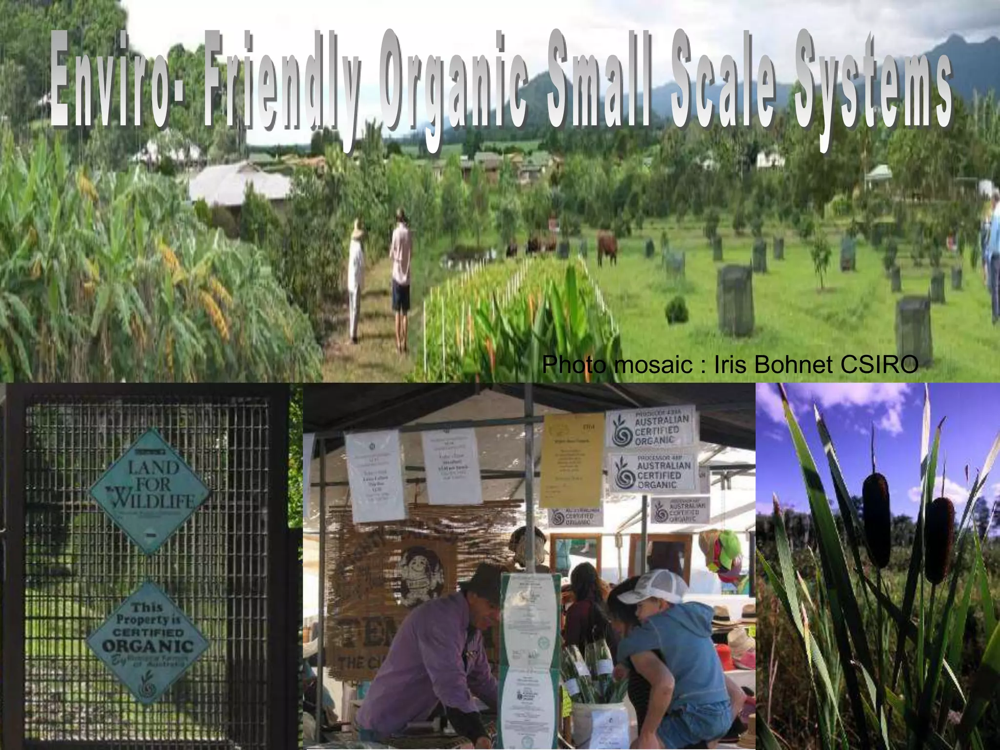 Photo mosaic : Iris Bohnet CSIRO

 