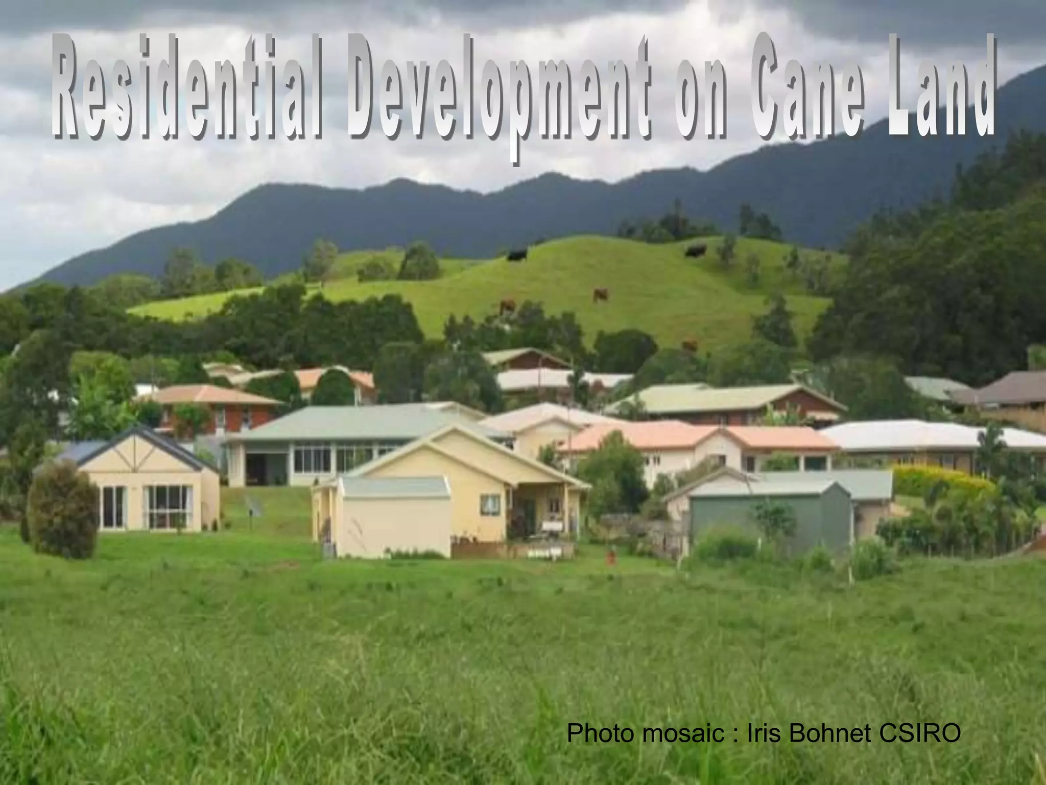 Photo mosaic : Iris Bohnet CSIRO

 