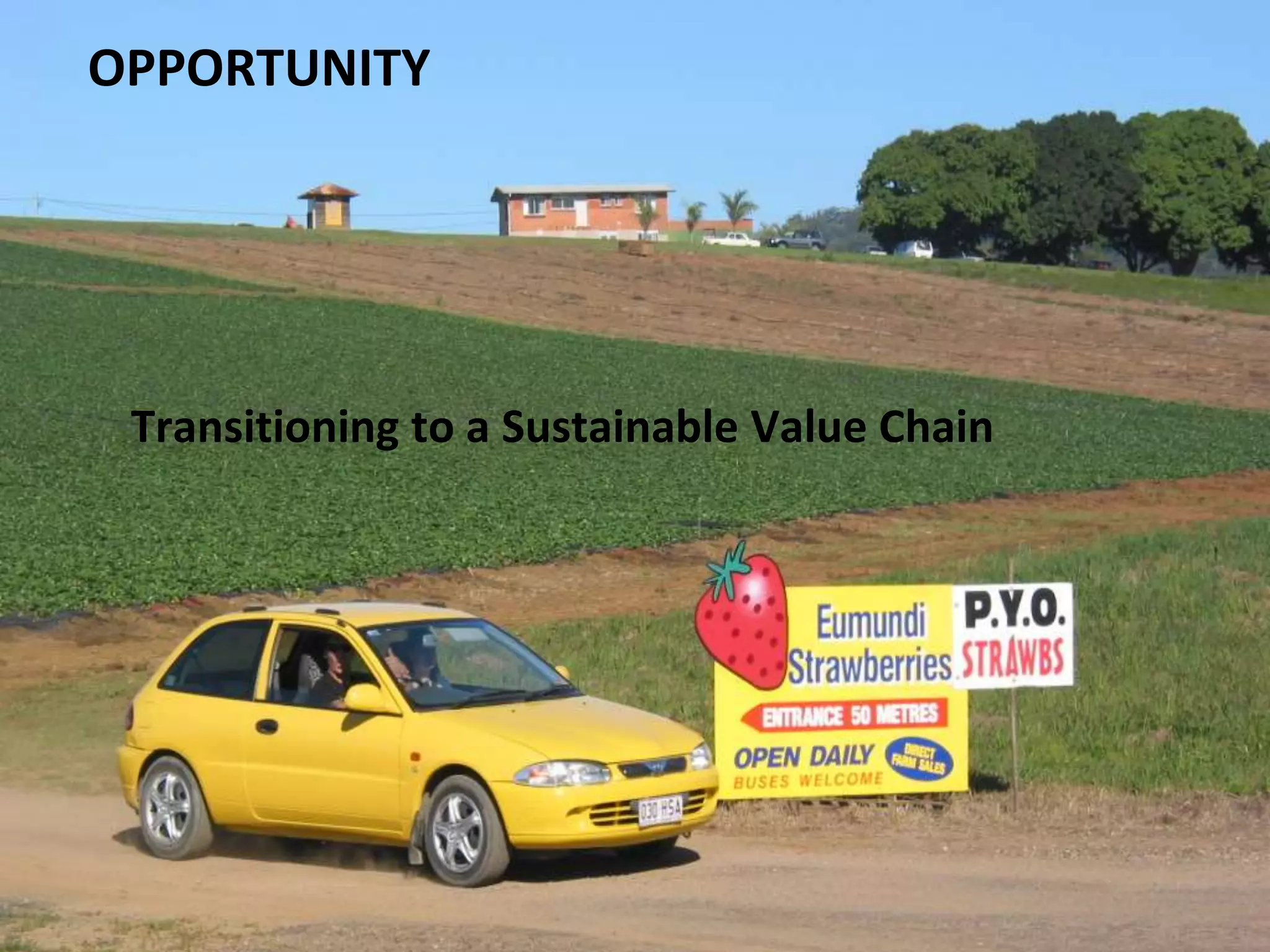 OPPORTUNITY

Transitioning to a Sustainable Value Chain

 