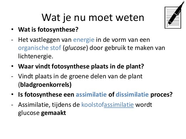 Stofwisseling fotosynthese en verbranding
