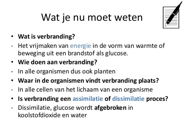 Stofwisseling fotosynthese en verbranding