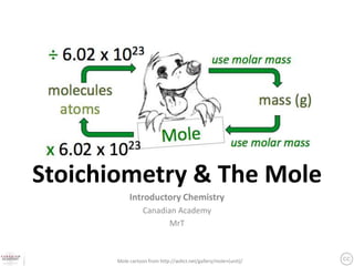 Stoichiometry & The Mole
            Introductory Chemistry
                  Canadian Academy
                         MrT



       Mole cartoon from http://wdict.net/gallery/mole+(unit)/
 