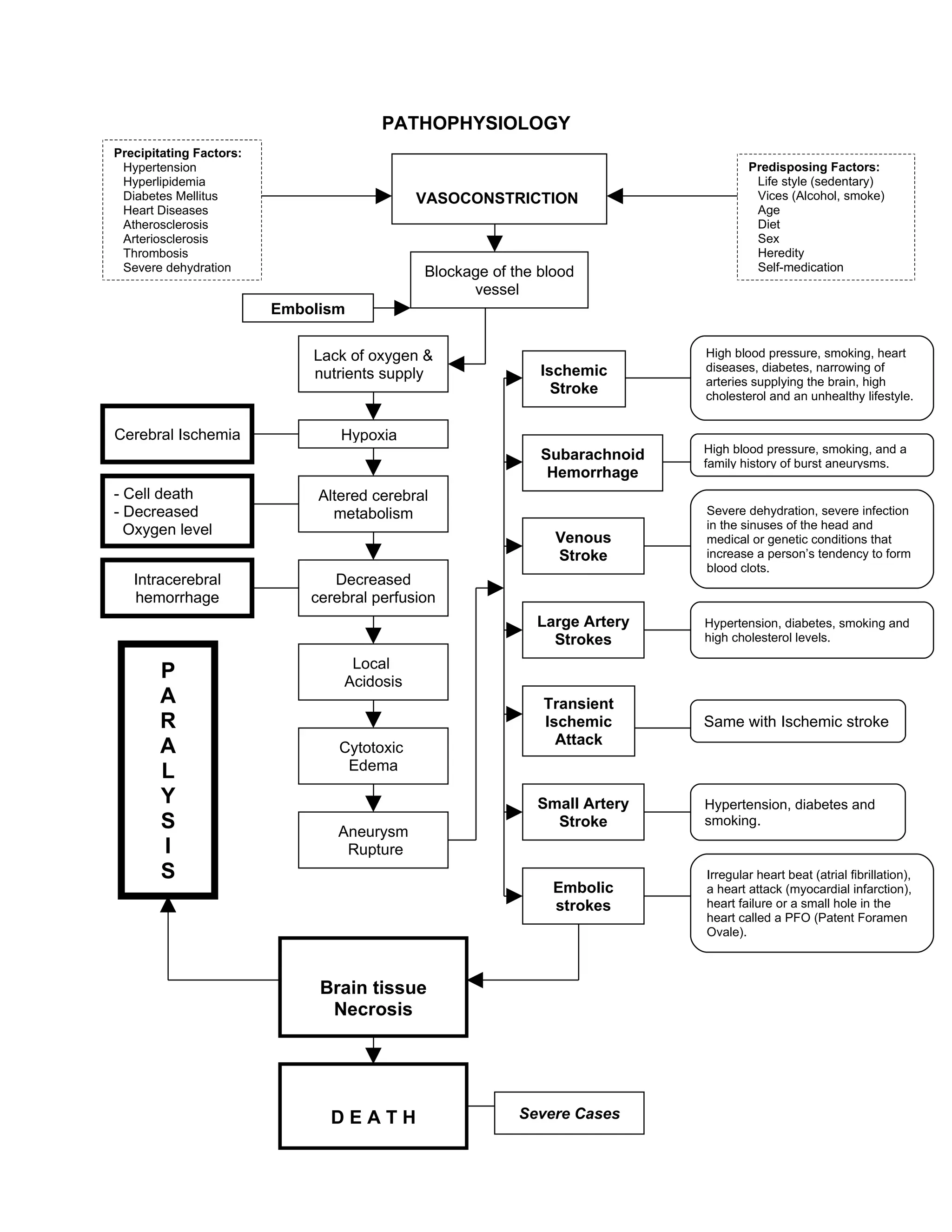 Stoke pathophysiology-1228539935337551-8 | DOC