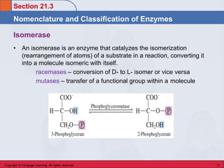 Chem 45 Biochemistry: Stoker Chapter 21 Enzymes & Vitamins | PDF