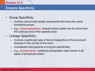Group Specificity Example Chem 45 Biochemistry: Stoker Chapter 21 Enzymes & Vitamins | PDF