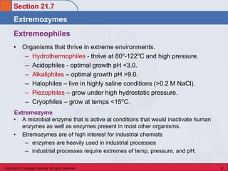 Extremozymes Examples Chem 45 Biochemistry: Stoker Chapter 21 Enzymes & Vitamins | PDF
