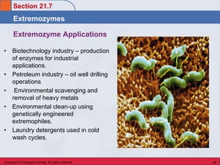 Extremozymes Examples Chem 45 Biochemistry: Stoker Chapter 21 Enzymes & Vitamins | PDF