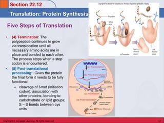 Translocation Steps Chem 45 Biochemistry: Stoker chapter 22 Nucleic Acids | PDF