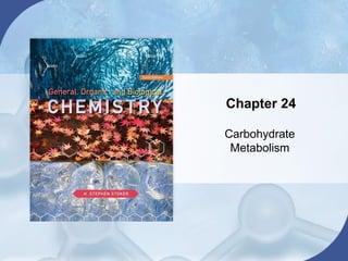 Chapter 24
Carbohydrate
Metabolism
 