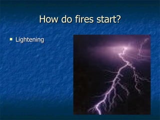 How do fires start? Lightening 