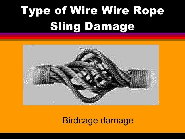 Wire Rope Bird Caging at Lee Ramirez blog