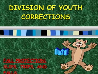 DIVISION OF YOUTH CORRECTIONS FALL PROTECTION:  SLIPS, TRIPS, AND FALLS Ouch!! 