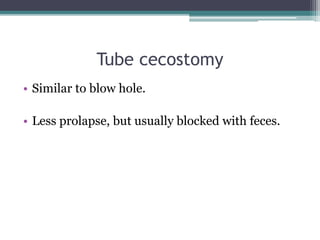 Tube cecostomy
• Similar to blow hole.
• Less prolapse, but usually blocked with feces.
 