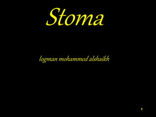 Stoma
logman mohammed alshaikh
1
 