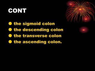 CONT
● the sigmoid colon
● the descending colon
● the transverse colon
● the ascending colon.
 