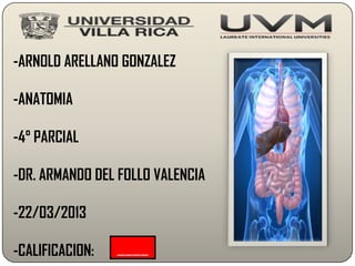 -ARNOLD ARELLANO GONZALEZ

-ANATOMIA

-4° PARCIAL

-DR. ARMANDO DEL FOLLO VALENCIA

-22/03/2013

-CALIFICACION:   ____
 