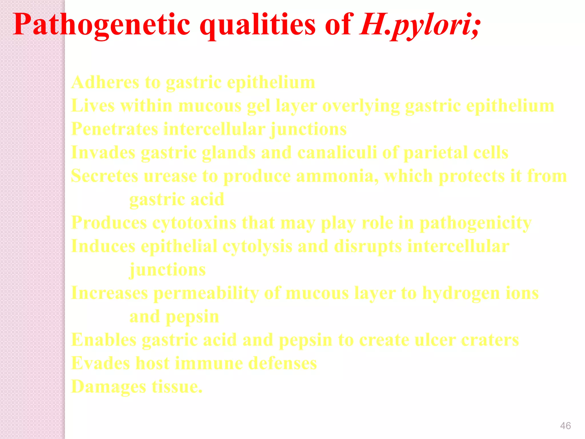 Pathogenetic qualities of H.pylori;
Adheres to gastric epithelium
Lives within mucous gel layer overlying gastric epithelium
Penetrates intercellular junctions
Invades gastric glands and canaliculi of parietal cells
Secretes urease to produce ammonia, which protects it from
gastric acid
Produces cytotoxins that may play role in pathogenicity
Induces epithelial cytolysis and disrupts intercellular
junctions
Increases permeability of mucous layer to hydrogen ions
and pepsin
Enables gastric acid and pepsin to create ulcer craters
Evades host immune defenses
Damages tissue.
46
 
