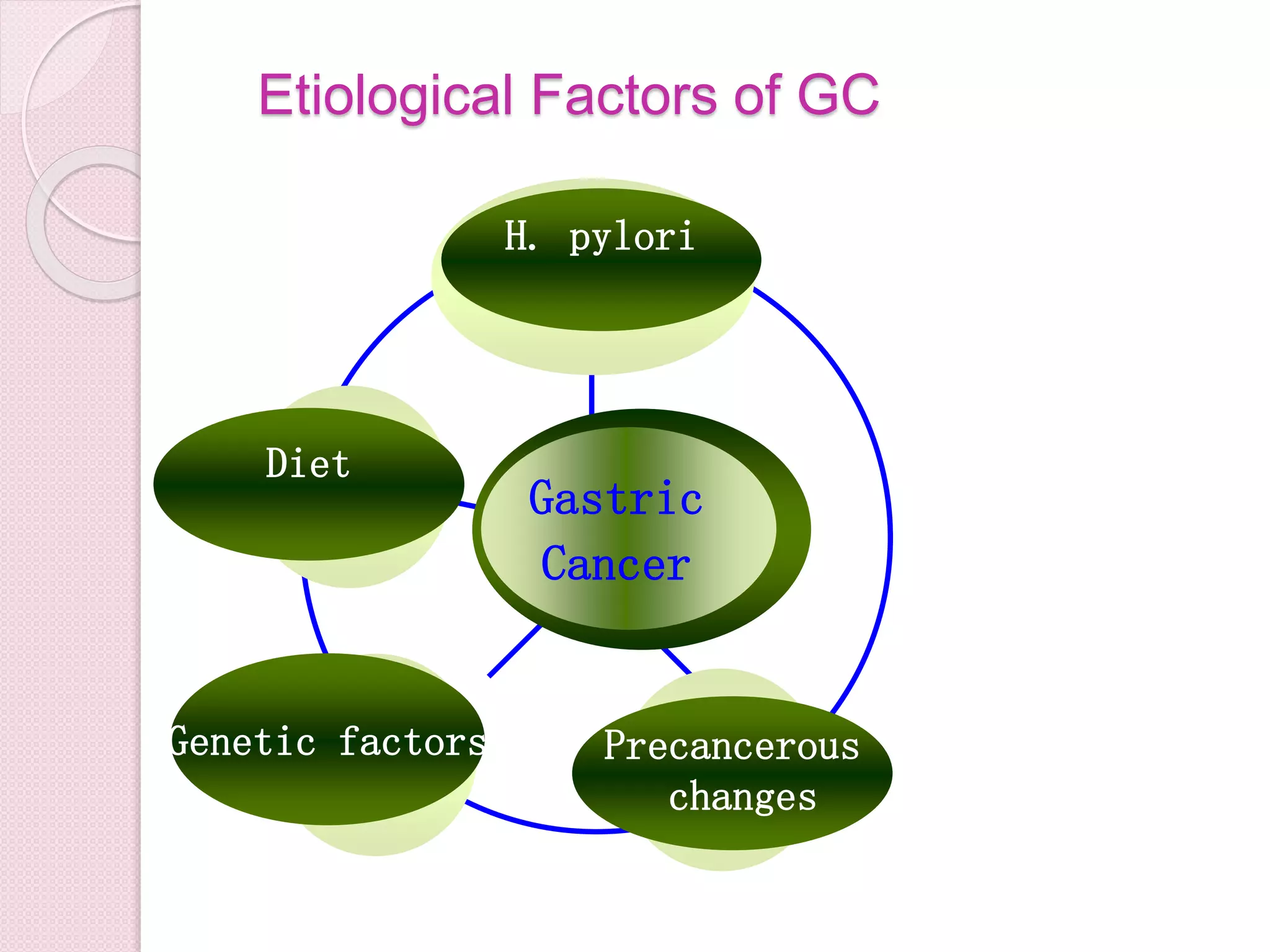 Gastric
Cancer
H. pylori
Precancerous
changes
Genetic factors
Diet
Etiological Factors of GC
 