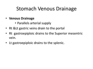 Stomach Venous Drainage
• Venous Drainage
• Parallels arterial supply
• Rt &Lt gastric veins drain to the portal
• Rt gastroepiploic drains to the Superior mesentric
vein.
• Lt gastroepiploic drains to the splenic.
 