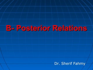 B- Posterior RelationsB- Posterior Relations
Dr. Sherif Fahmy
 