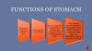 FUNCTIONS OF STOMACH
 