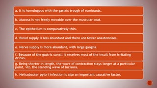 a. It is homologous with the gastric trough of ruminants.
b. Mucosa is not freely movable over the muscular coat.
c. The epithelium is comparatively thin.
d. Blood supply is less abundant and there are fewer anastomoses.
e. Nerve supply is more abundant, with large ganglia.
f. Because of the gastric canal, it receives most of the insult from irritating
drinks.
g. Being shorter in length, the wave of contraction stays longer at a particular
point, viz. the standing wave of incisura.
h. Helicobacter pylori infection is also an important causative factor.
 