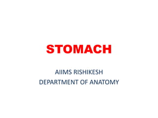 STOMACH
AIIMS RISHIKESH
DEPARTMENT OF ANATOMY
 