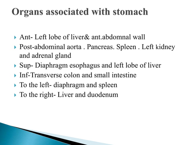 Stomach Anatomy And Physiology Ppt Pptx Pptx