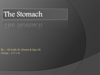 The Stomach
By :- Ali Laith Al-Alwani & Saja Ali
Group :-117 i-6
 