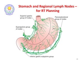 Stomach and Regional Lymph Nodes –
for RT Planning
26
 