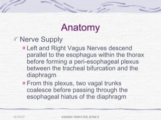 Anatomy
Nerve Supply
Left and Right Vagus Nerves descend
parallel to the esophagus within the thorax
before forming a peri-esophageal plexus
between the tracheal bifurcation and the
diaphragm
From this plexus, two vagal trunks
coalesce before passing through the
esophageal hiatus of the diaphragm
ASHISH TRIPATHI, RTIICS11/17/17
 
