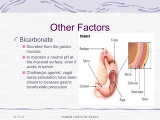 Other Factors
Bicarbonate
Secreted from the gastric
mucosa
to maintain a neutral pH at
the mucosal surface, even if
acidic in lumen
Cholinergic agonist, vagal
nerve stimulation have been
shown to increase gastric
bicarbonate production
ASHISH TRIPATHI, RTIICS11/17/17
 