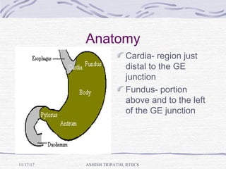 Anatomy
Cardia- region just
distal to the GE
junction
Fundus- portion
above and to the left
of the GE junction
ASHISH TRIPATHI, RTIICS11/17/17
 