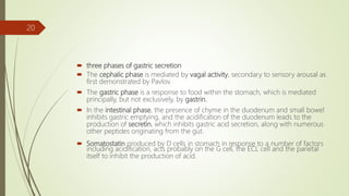  three phases of gastric secretion
 The cephalic phase is mediated by vagal activity, secondary to sensory arousal as
first demonstrated by Pavlov.
 The gastric phase is a response to food within the stomach, which is mediated
principally, but not exclusively, by gastrin.
 In the intestinal phase, the presence of chyme in the duodenum and small bowel
inhibits gastric emptying, and the acidification of the duodenum leads to the
production of secretin, which inhibits gastric acid secretion, along with numerous
other peptides originating from the gut.
 Somatostatin produced by D cells in stomach in response to a number of factors
including acidification, acts probably on the G cell, the ECL cell and the parietal
itself to inhibit the production of acid.
20
 