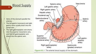 Blood Supply
• Veins of the stomach parallel the
arteries.
• The left gastric (coronary) and right
gastric veins usually drain into the
portal vein.
• The right gastroepiploic vein drains
into the superior mesenteric vein,
and the left gastroepiploic vein
drains into the splenic vein.
8
 