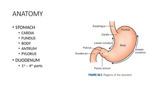 STOMACH and DUODENUM SURGERY CLASS[Autosaved].pptx