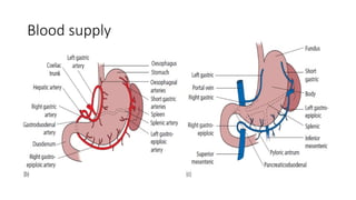 STOMACH and DUODENUM SURGERY CLASS[Autosaved].pptx