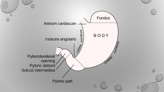GASTRIC JUICE