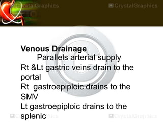 Venous Drainage
Parallels arterial supply
Rt &Lt gastric veins drain to the
portal
Rt gastroepiploic drains to the
SMV
Lt gastroepiploic drains to the
splenic
 