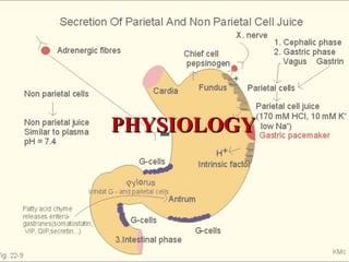 PHYSIOLOGY
 
