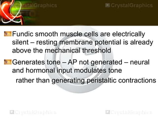 Fundic smooth muscle cells are electrically
silent – resting membrane potential is already
above the mechanical threshold
Generates tone – AP not generated – neural
and hormonal input modulates tone
rather than generating peristaltic contractions
 