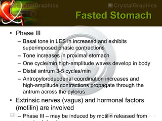 Fasted Stomach
• Phase III
– Basal tone in LES in increased and exhibits
superimposed phasic contractions
– Tone increases in proximal stomach
– One cycle/min high-amplitude waves develop in body
– Distal antrum 3-5 cycles/min
– Antropyloroduodenal coordination increases and
high-amplitude contractions propagate through the
antrum across the pylorus
• Extrinsic nerves (vagus) and hormonal factors
(motilin) are involved
– Phase III – may be induced by motilin released from
 