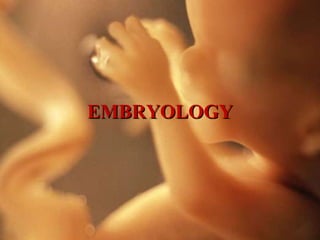 EMBRYOLOGY
 
