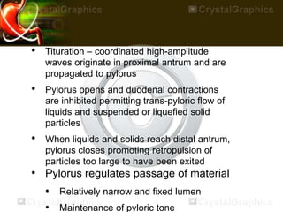 • Tituration – coordinated high-amplitude
waves originate in proximal antrum and are
propagated to pylorus
• Pylorus opens and duodenal contractions
are inhibited permitting trans-pyloric flow of
liquids and suspended or liquefied solid
particles
• When liquids and solids reach distal antrum,
pylorus closes promoting retropulsion of
particles too large to have been exited
• Pylorus regulates passage of material
• Relatively narrow and fixed lumen
• Maintenance of pyloric tone
 