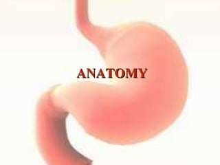 ANATOMY
 