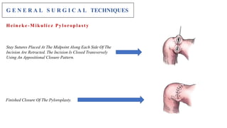 Appositional Pattern Basic of Small Animals Stomach Surgery | PPTX