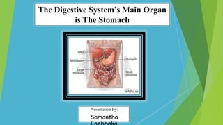 The Digestive System’s Main Organ
is The Stomach

Presentation By:

Samantha

 