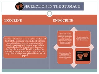 EXOCRINE ENDOCRINE