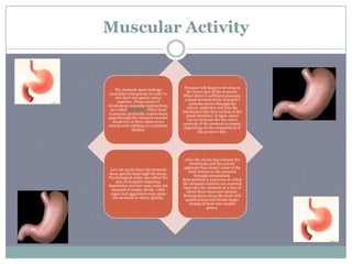 Muscular Activity