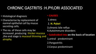 CHRONIC GASTRITIS :H.PYLORI ASSOCIATED
• Histological diagnosis
• Characterise by replacement of
normal epithelial cell by mucus
secreting cells.
• The no. of these cells may be
increased ,producing thicker mucosa
,the end stage is mucosal thinning and
atrophy.
• CAUSES
1.stress
2. H. Pylori
3.chronic bile reflux
4.Autoimmune disorders
• Subdivided into on the basis of location
1.antral predominant
2.Pangastritis
2.Corpus predominant
 